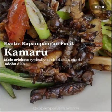 kapampangan porn|Kapampangan Porn Videos .